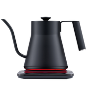 Baristan Gooseneck Kettle
